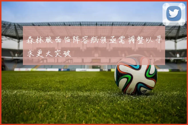 森林狼面临阵容瓶颈亟需调整以寻求更大突破